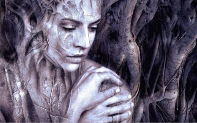Study Wood2New demuestra el impacto positivo de la madera en los seres humanos